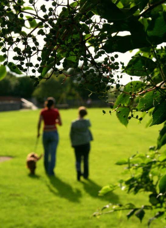 070730_walk_in_the_park_Mel_Oliver