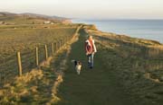 070615-Walking_the_dog_along_the_Burton_Cliff_footpath_Robert_Belbin