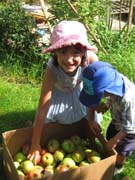 070915_Apple_Harvest_Sue_Dampney