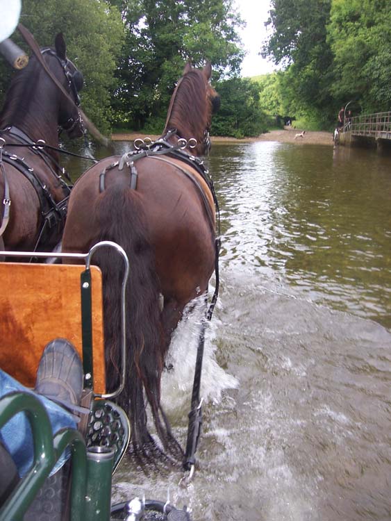 080910-Carriage_riding_while_staying_at_Burton_Bradstock-John_Suter