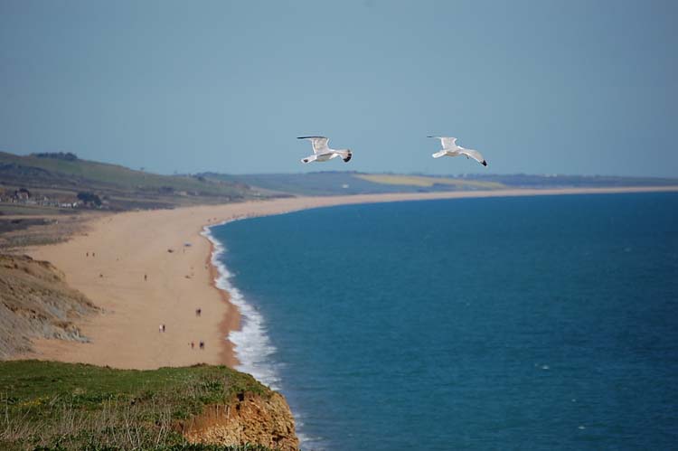 080913-Hanging_round_at_the_beach-Simon_Kirby