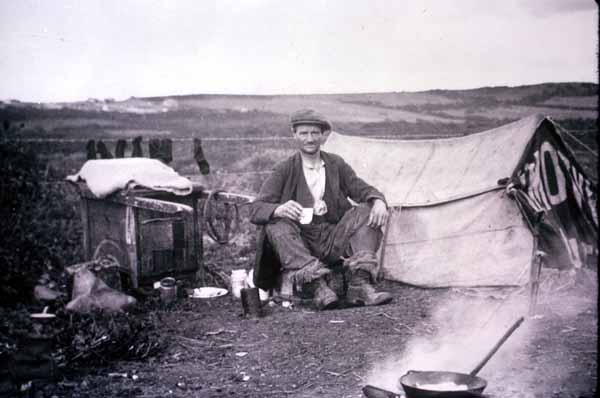 Reed cutter having a break