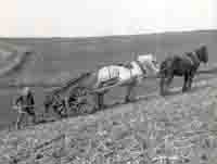 Dave Legg muck spreading the hard way on Lenthall's Farm, Freshwater