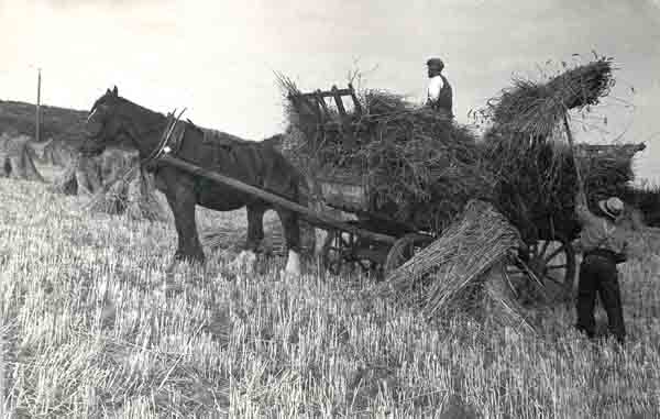 Manor Farm..Frank White