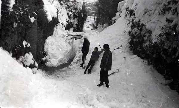 Shipton Lane was blocked - 1st February, 1978 