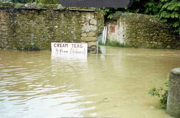 No cream teas at Manor Farm today?