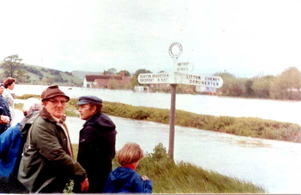 People came to see the floods