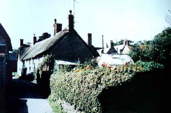 Thatch End