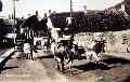 Cows in High St C. 1959