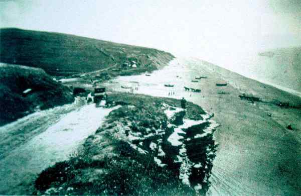 Taking shingle off the beach