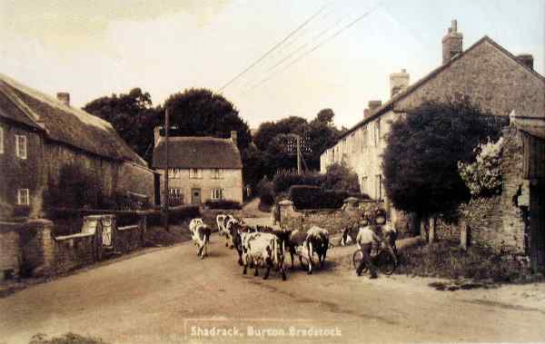 Gates shut as cows go by!