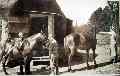 Frank Bishop Riding School C. 1935