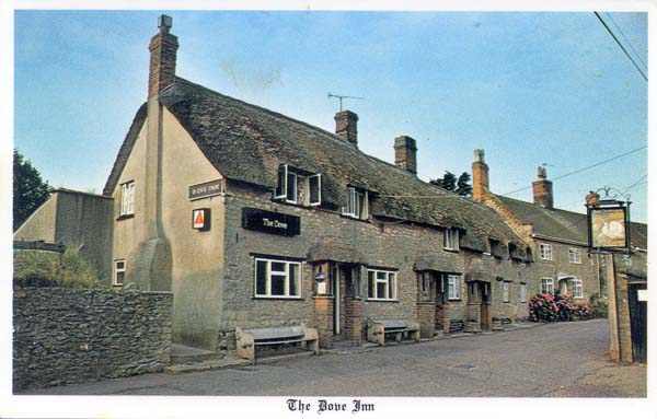 The Dove in 1990's