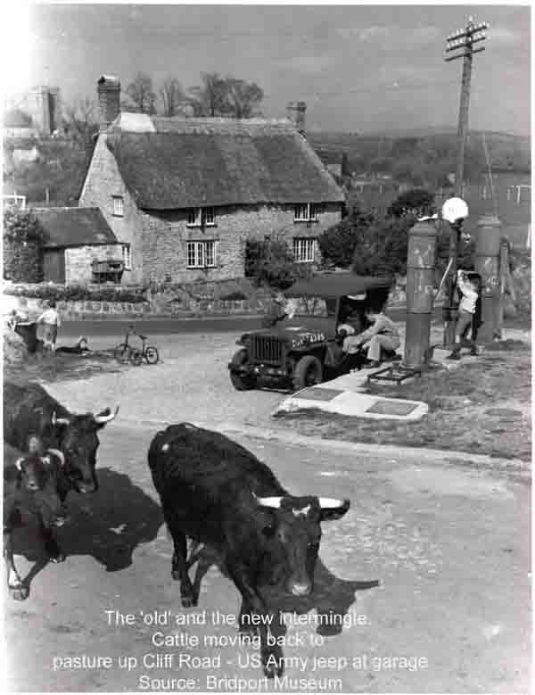 Cows passing Jeep getting filled up at garage