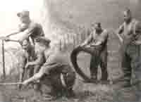 Left to right:  Nobby Brough, Brown, Rabowitz, Nobby Clark and Cpl. Devereux