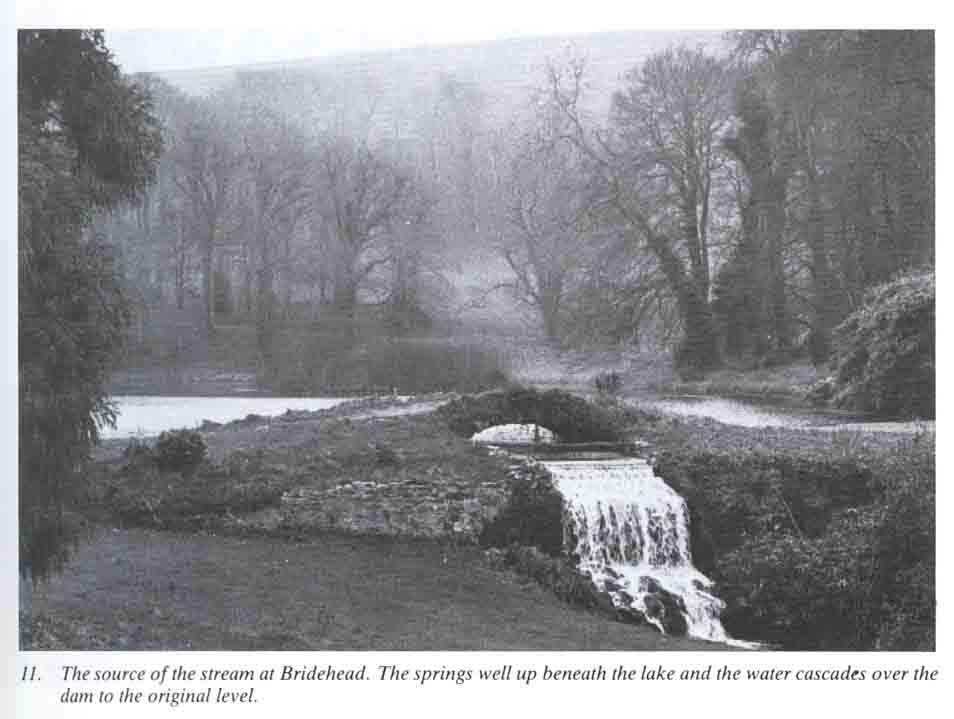 Source of river at Bridehad, Little Bredy