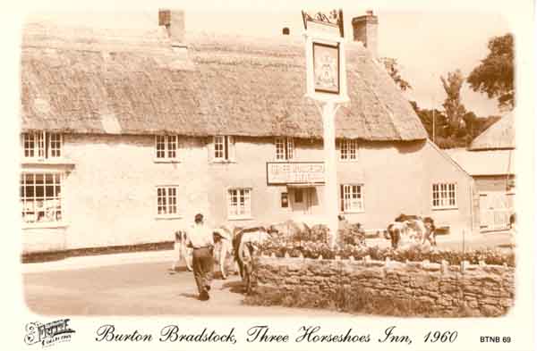 Cows being driven towards Shadrach Dairy farm in Mill Street - past the Three Horseshoes