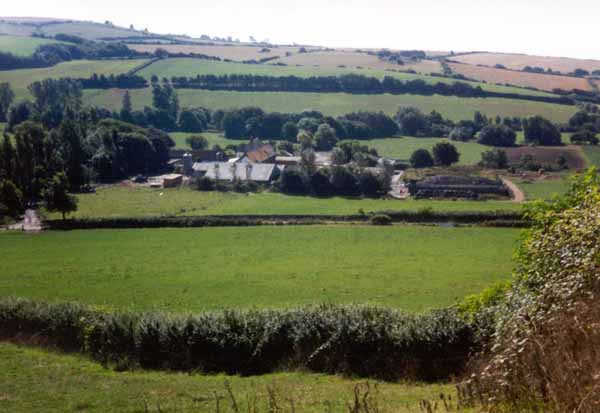 Graston Farm