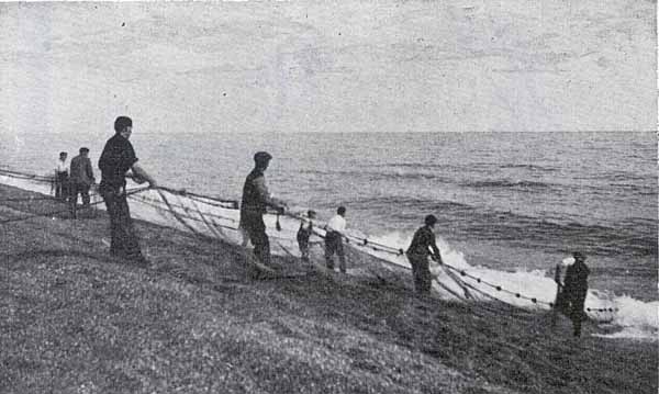 Hauling in the Seine net