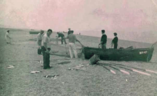 Checking the net - fish on the beach