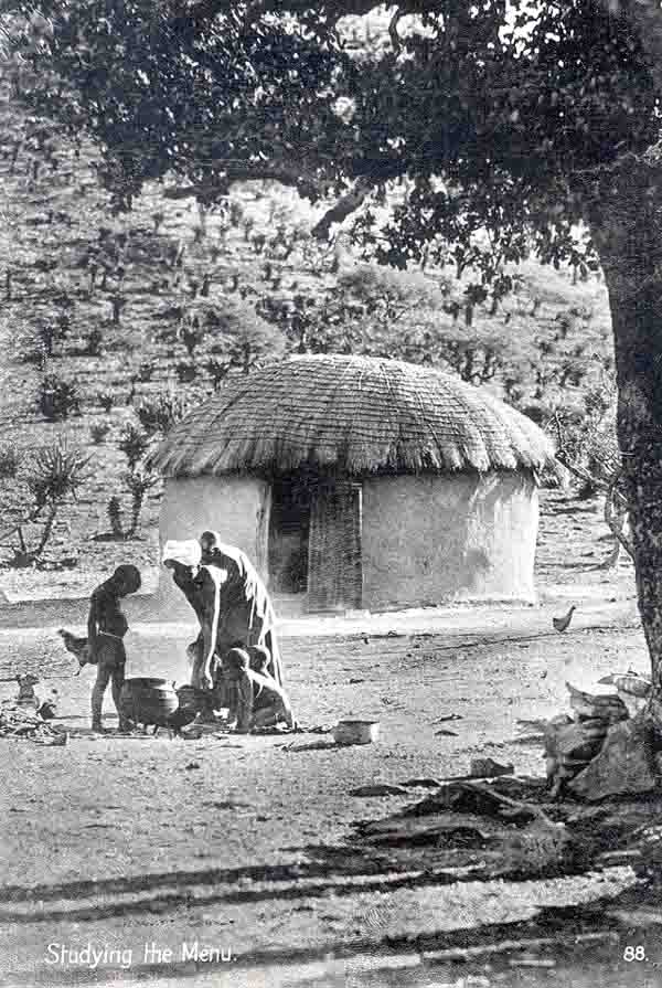 An African hut in the bush