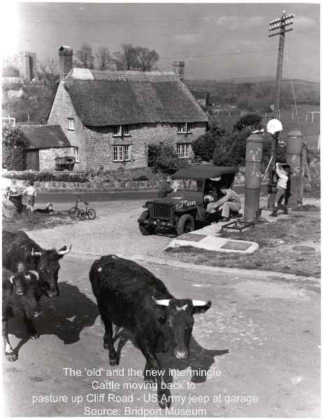 Cows and Jeep at Garage