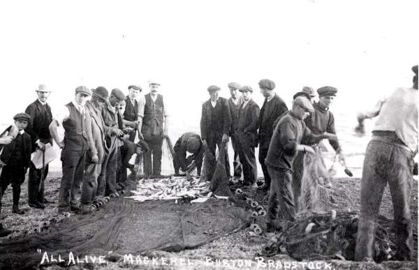 Fishing on the Beach - the catch