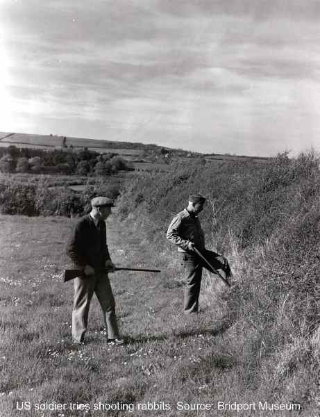 Shooting rabbits