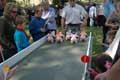 Pig Racing