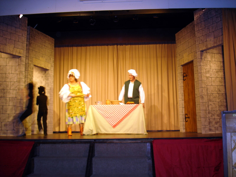 Gill East as Dame and David Mayo as Heinz