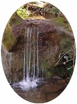 Small but pretty waterfall in the Parish